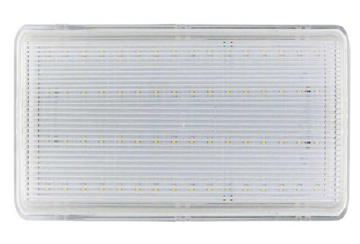 ADDRESSABLE BULKHEAD EMERGENCY LIGHT