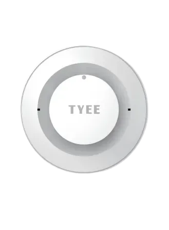 Smoke Detector_09_08_2025